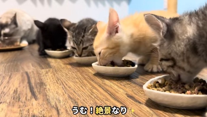 うむ！絶景なり