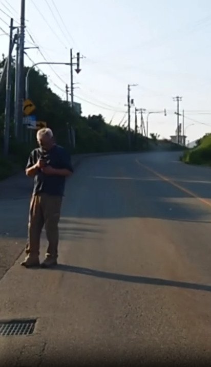 抱っこされる子猫