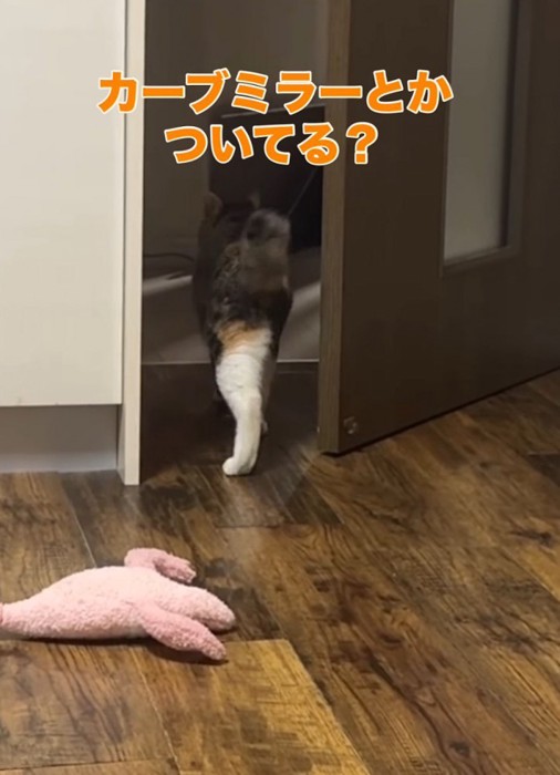 ドアの向こうへ歩いていく三毛猫