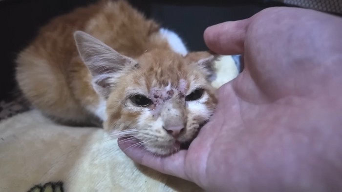 手に顎を乗せて