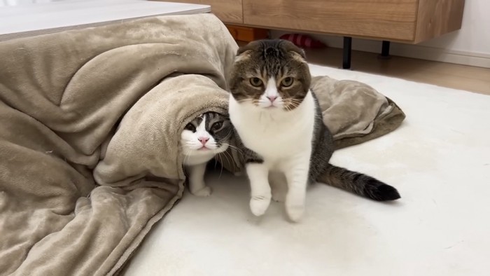 やっと出てきたうま次郎くん