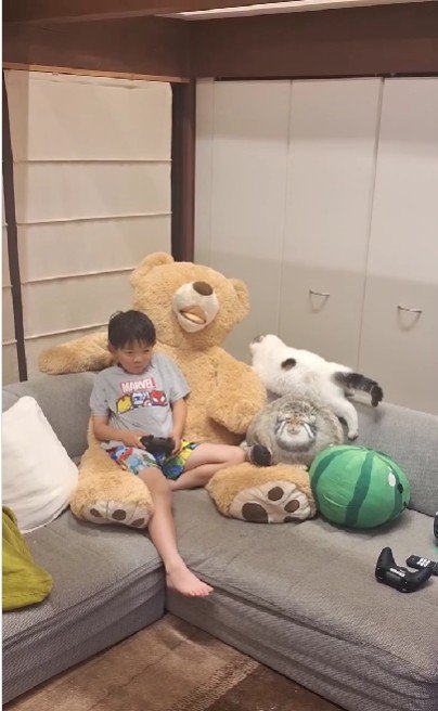 座っている子どもと猫