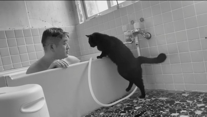 浴槽の縁に前足をかけて、後ろ足を持ち上げる猫