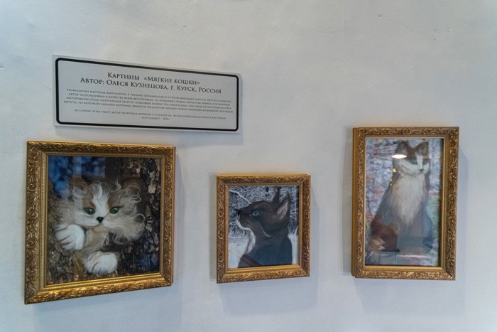 展示された猫の絵