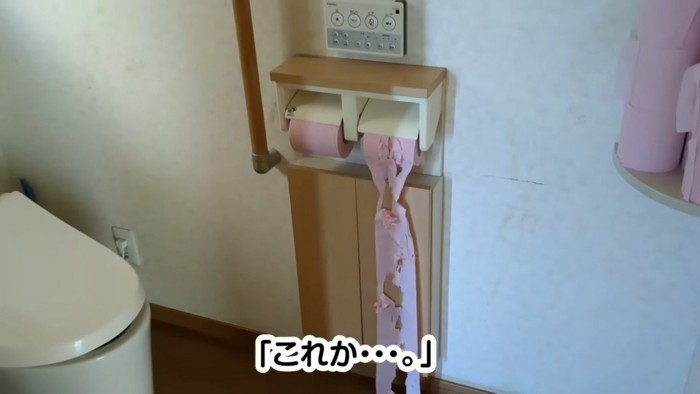 猫にいたずらされたトイレットペーパー