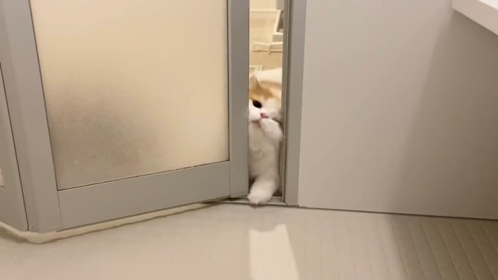 顔をねじ込み