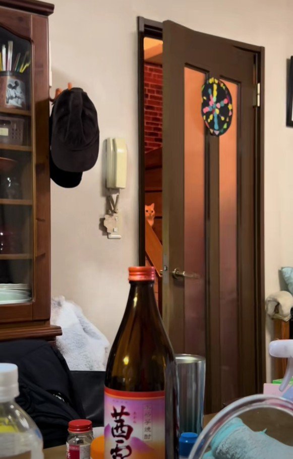 お父さんを見る縫くん