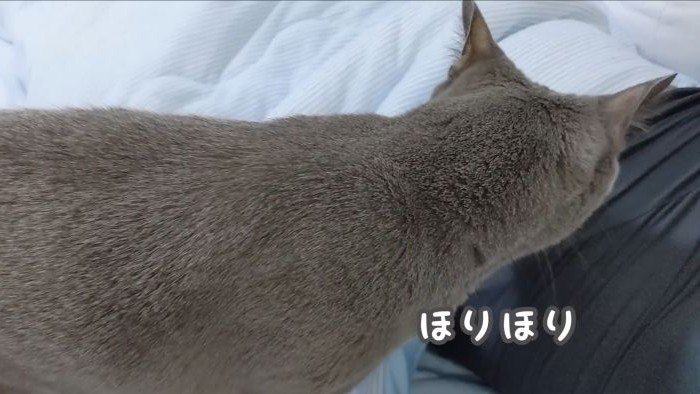 ほりほりするハムちゃん