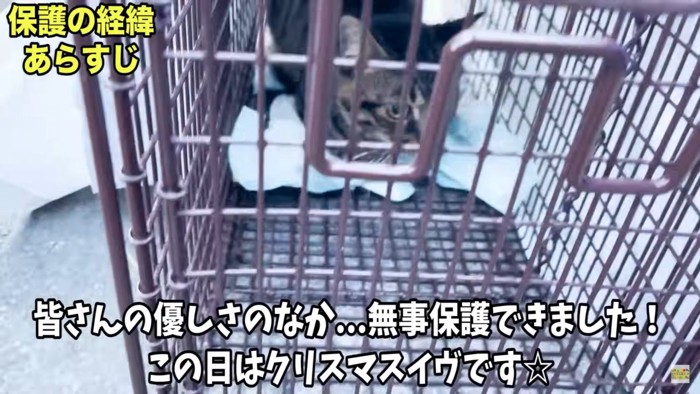 保護されたぴーすけくん