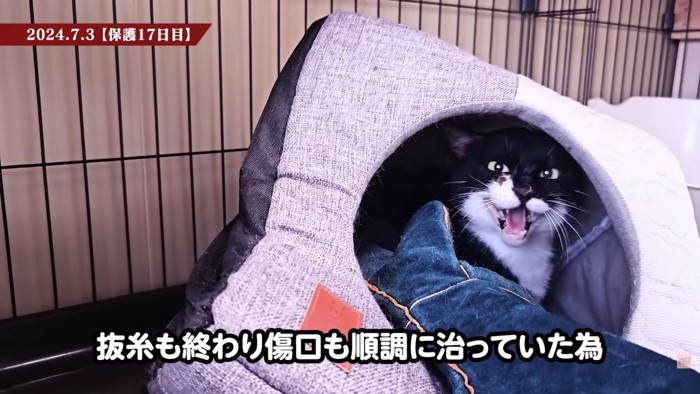 テロップ「抜糸も終わり~」