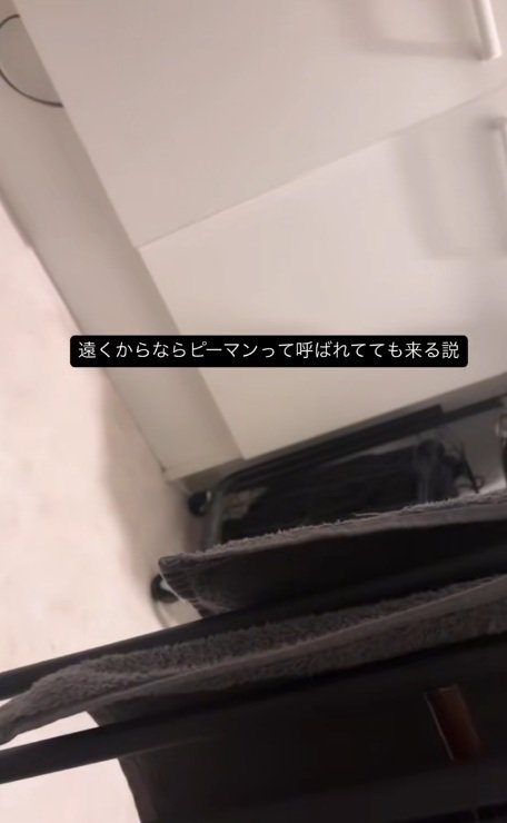 猫を呼ぶ投稿主