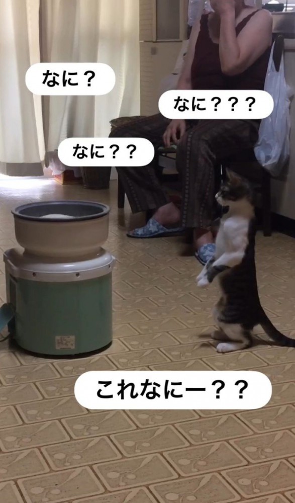 「なに？」と四回書かれた写真