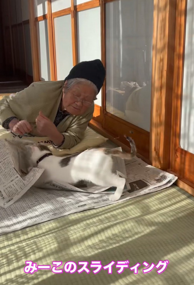 スライディングする猫