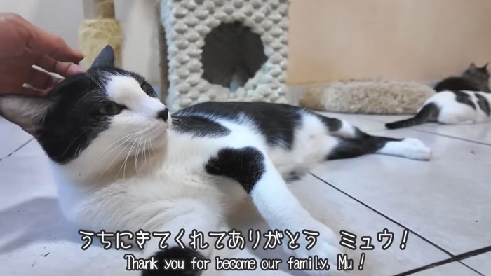 テロップ「うちにきてくれて~」