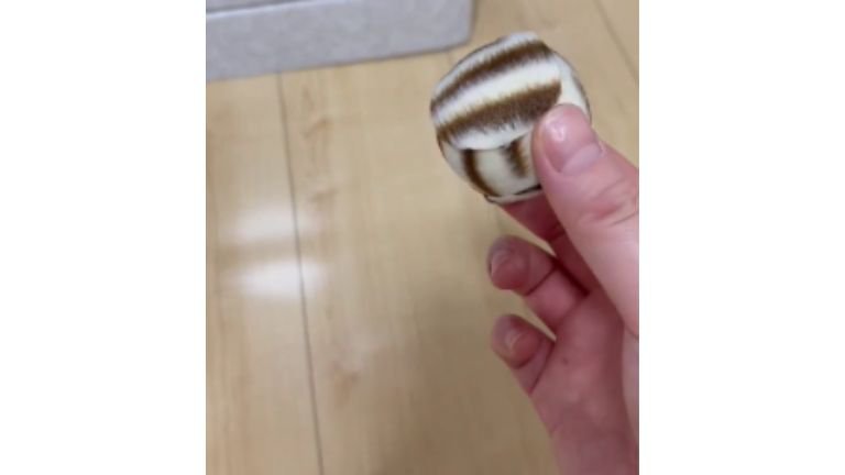 ボールを手に持つ手