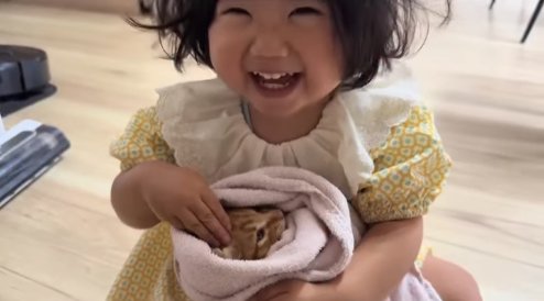 子猫を抱っこしながらカメラ目線で笑っている子供