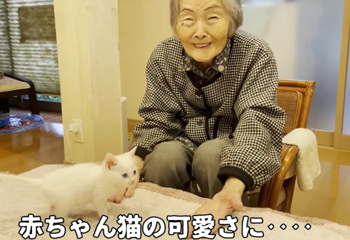 笑顔をカメラに向ける人（赤ちゃん猫の可愛さに・・・）