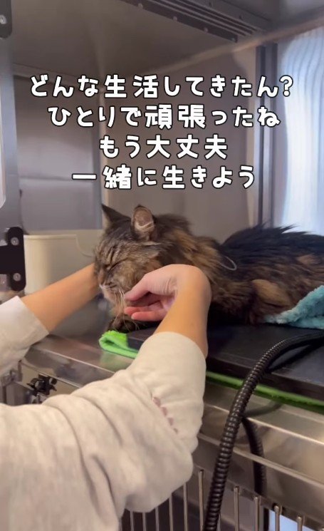 ケージの中の犬くん