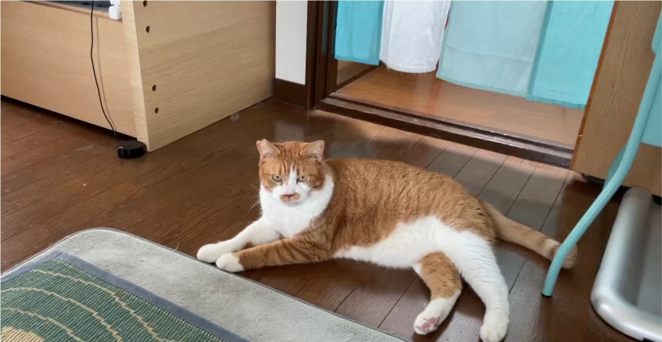 くつろぐマナくん