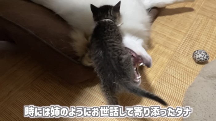 「時には...」のテロップ写真