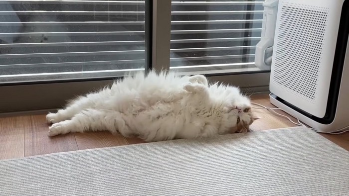 ねころぶレモンくん