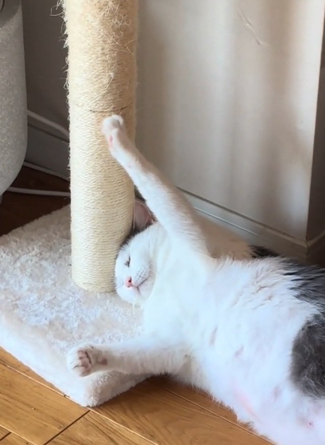 目を閉じるおでんちゃん