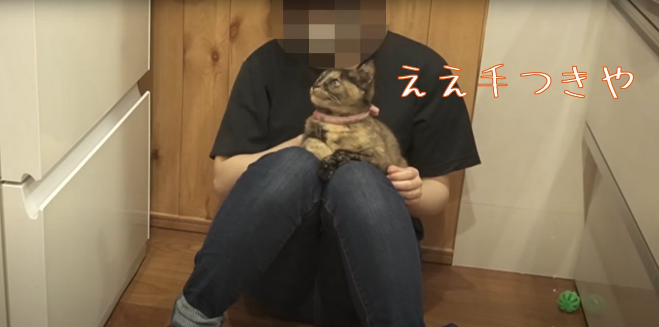 ママさんの顔を見つめるたっちゃん