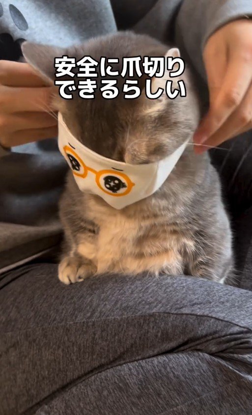 マスクをつけたココスくん