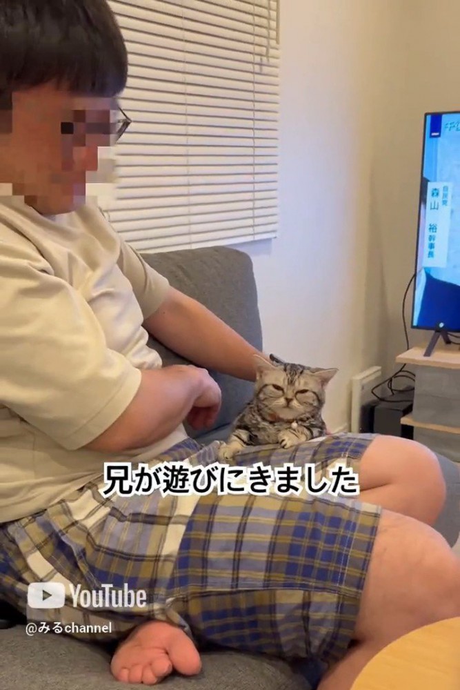 人の膝の上に前足を乗せる猫