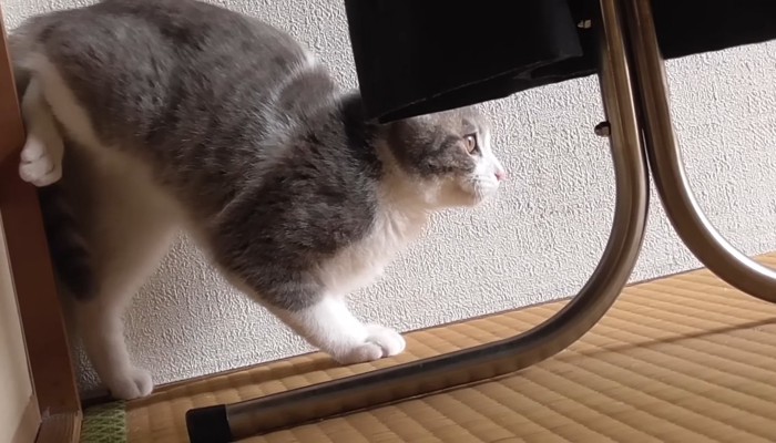 柱に足をくっつけて