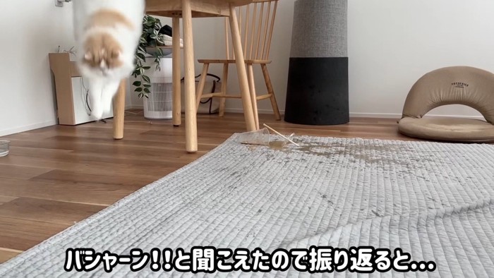 飛び降りるレモンくんとこぼれるカフェラテ