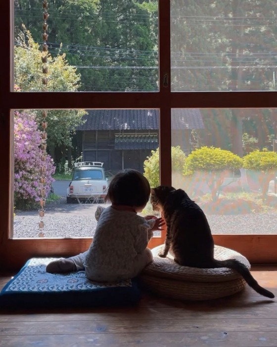 並んで座る子どもと猫