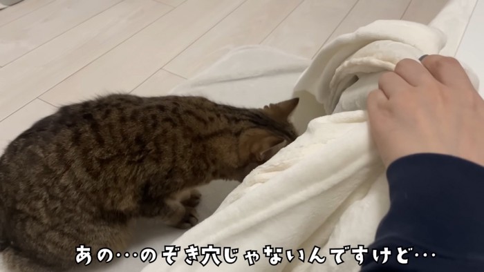 のぞくみにらくん