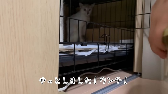 テロップ「やっと出ました!~」