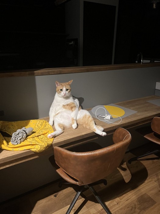 黄昏るぽーくん