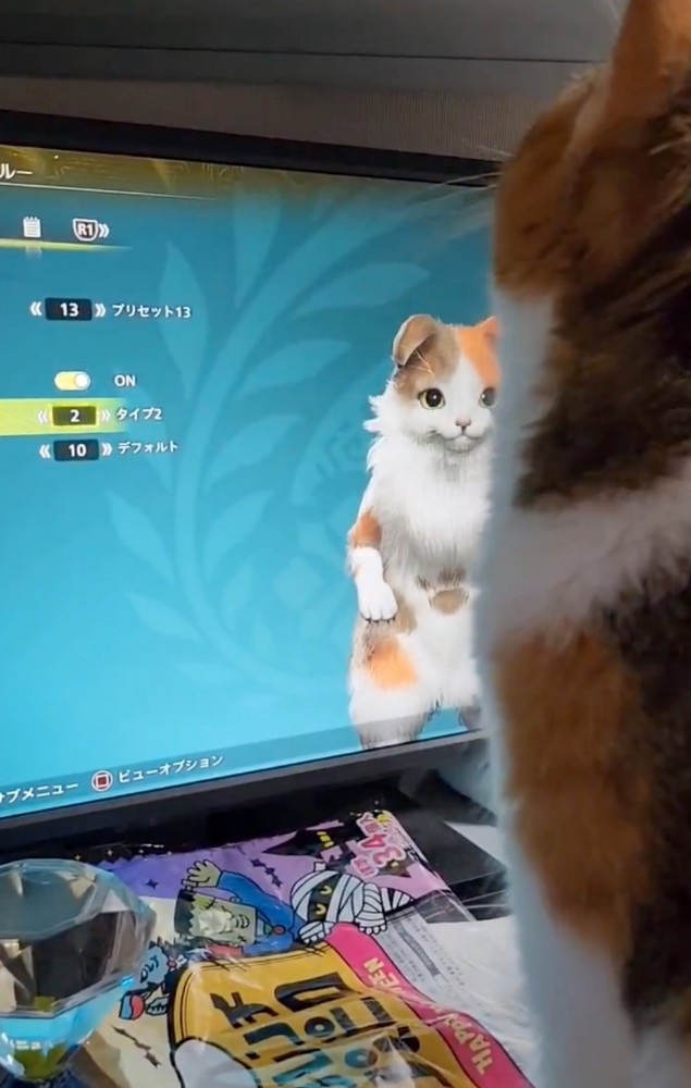 鳴き声で返答する猫