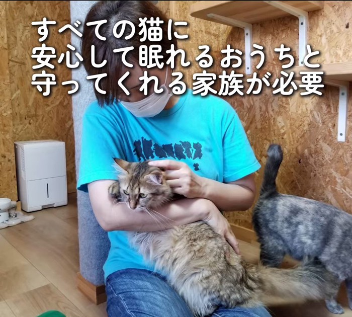 抱っこされる猫