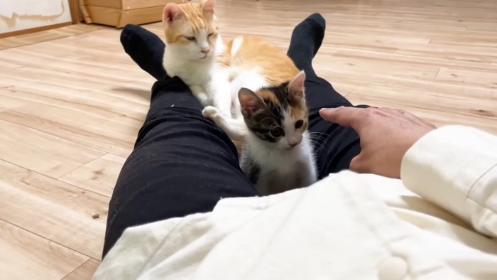 同じ方向を見るふたり