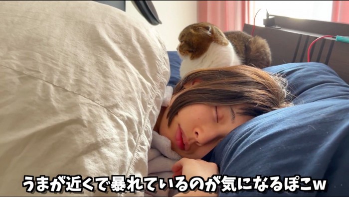 眠っている女性の枕元で伏せをする猫