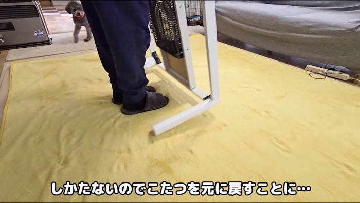 コタツを設置し直す飼い主