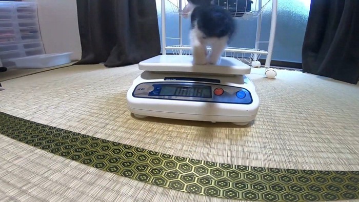 体重計
