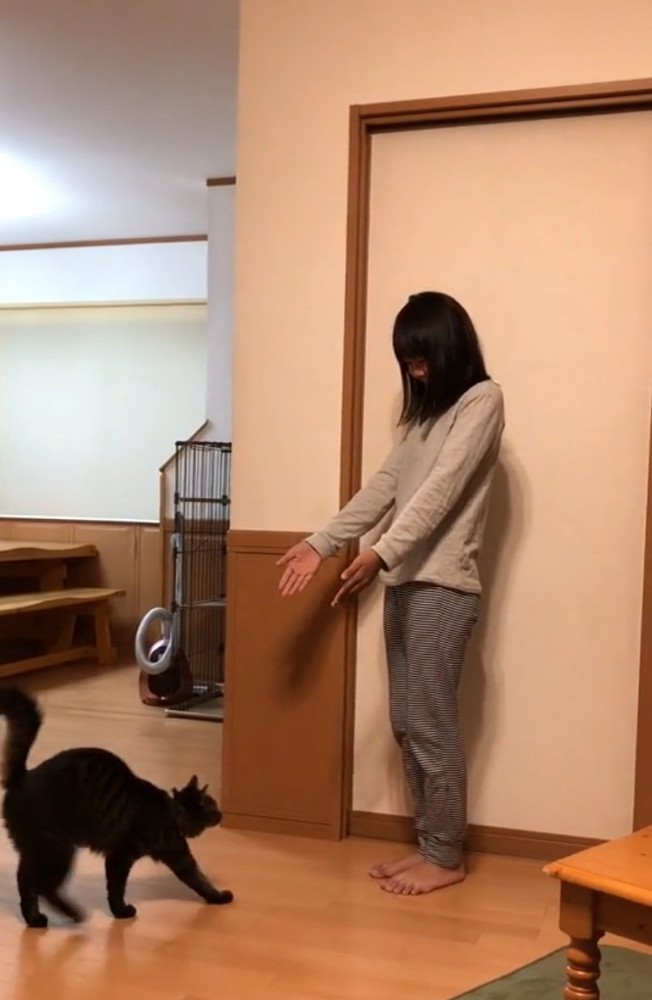 手を広げる女の子