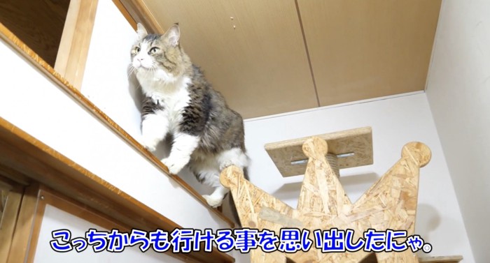 別のルートを思い出すボス吉くん
