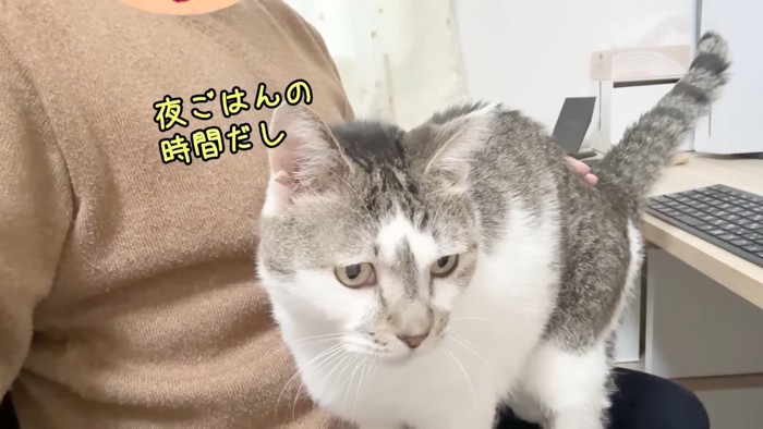 夜ごはんの時間だし