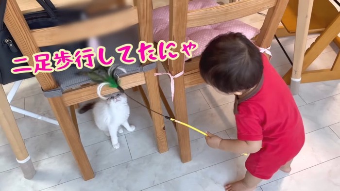 二足歩行してたにゃ