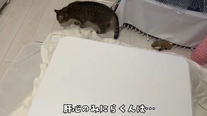 コタツのまわりのみにらくん