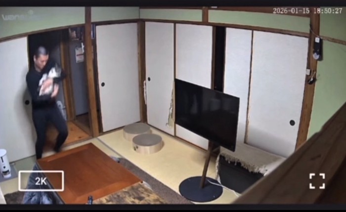 猫を抱っこしてステップを踏む男性