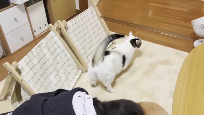 降りた豆大福くん