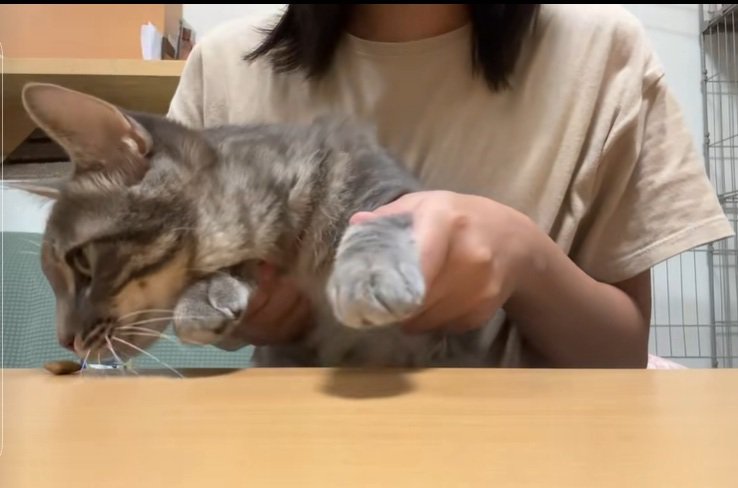 おやつを見つける