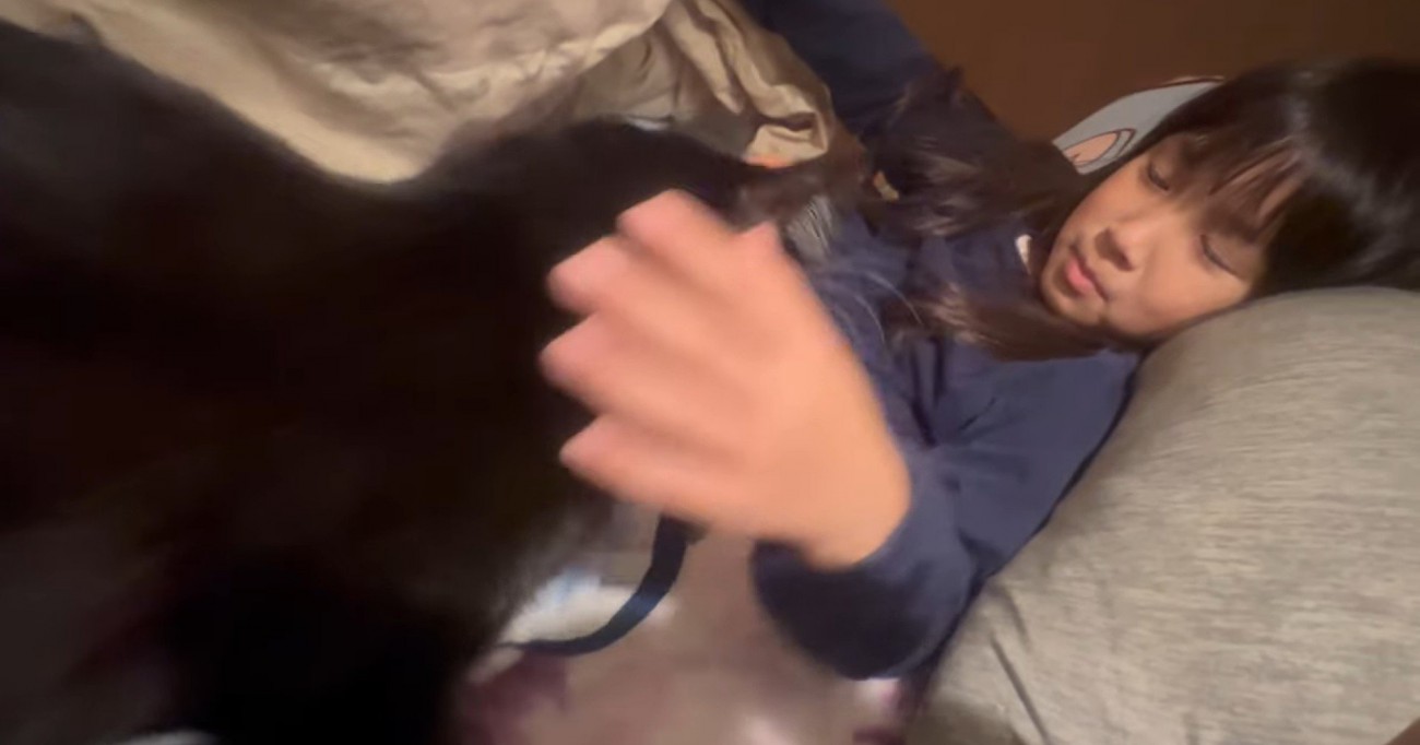 布団に潜り込んでいる猫と呼んでいる子ども